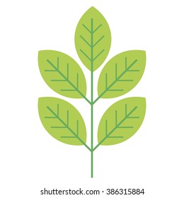 Floral icon. One tree branch with leaves isolated on white background.  Vector illustration.