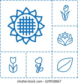 Floral icon. set of 6 floral outline icons such as sunflower, flower, leaf