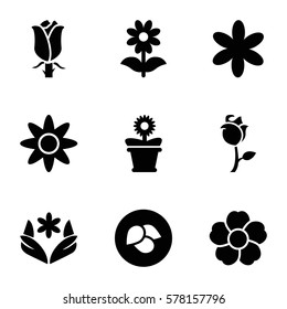 floral icon. Set of 9 floral filled icons such as leaf, flower, flower pot