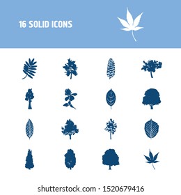 Floral icon set and clover flower with yew tree, thuja and branch. Shamrock related floral icon vector for web UI logo design