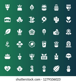 floral icon set. Collection of 36 filled floral icons included Cactus, Leaf, Flower pot, Bouquet, Eco, Flower bouquet, Flowerpot, Fern, Fresh, Rose, Flower, Violet, Clover, Bamboo