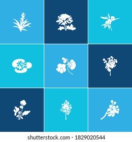 Floral icon set and guzmania flower with nasturtium, oleander, hazelnut tree. Arum lily related floral icon vector for web UI logo design.