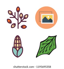 floral icon set. vector set about leaf, leaves, chestnut icon and image icons set.
