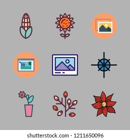 floral icon set. vector set about image, chestnut icon, leaves and composition icons set.