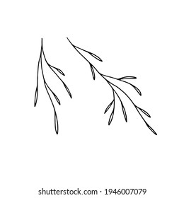 Floral icon, vector minimalistic graphics. Hand drawn branches with leaves. For branding and business identity, social media clipart. Simple elegant illustration, isolated object.
