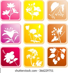 floral icons