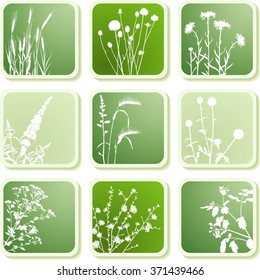 Floral icons