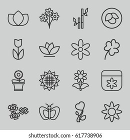 Floral icons set. set of 16 floral outline icons such as leaf, sunflower, butterfly, lotus, flower, bamboo, Clover, flower pot, heart flower