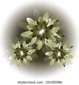 Floral Illustration.