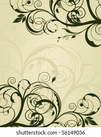floral illustration