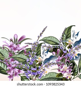 Floral illustration with field flowers  in vintage style
