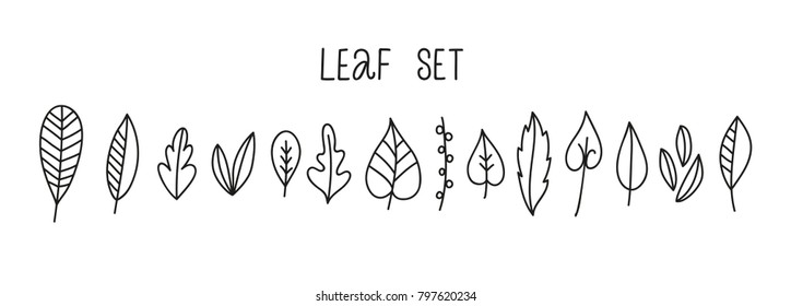 Floral illustration flowers