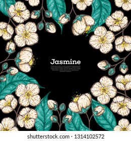 Floral illustration. Jasmine frame. Hand drawn vector illustration.  Design template.