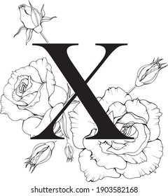 Ilustración floral de la letra X. Monograma X con rosas. 