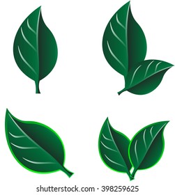Floral illustration set of many bright seasonal vector leaves green color on white background