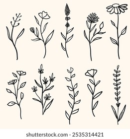 Floral With illustration style doodle and line art