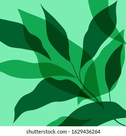 Floral illustration in tropical style. Perfect for fabric. Modern graphic design.