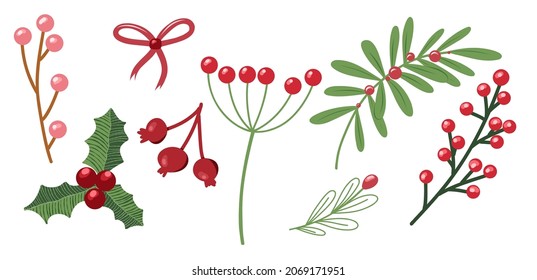 Floral Illustration of winter berries and Christmas branches. Vector Holly decor clipart