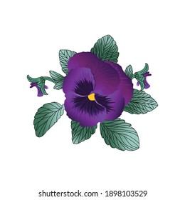 Floral illustration of winter flower. Pancy vector file illustration. Botanical flower art used for the prints and background.