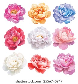 floral illustrations featuring  delicate, pastel colored flowers with intricate petal details. Perfect for design projects, invitations, and decor, these elegant blooms add a touch of natures beauty.