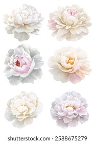 floral illustrations featuring  delicate, pastel colored flowers with intricate petal details. Perfect for design projects, invitations, and decor, these elegant blooms add a touch of natures beauty.