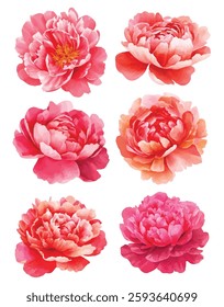 floral illustrations featuring  delicate, pastel colored flowers with intricate petal details. Perfect for design projects, invitations, and decor, these elegant blooms add a touch of natures beauty.