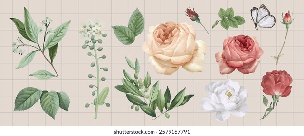 Floral illustrations featuring roses, leaves, and a butterfly. Delicate roses and leaves are arranged on a grid background, showcasing nature's beauty. Spring flower illustrations, vector set.