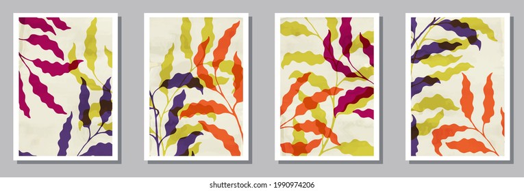 Floral interior posters collection. Spring branches with foliage. Summer twigs modern botanical design.. Eucalyptus plant frames. Foliage vector illustration. vector design..