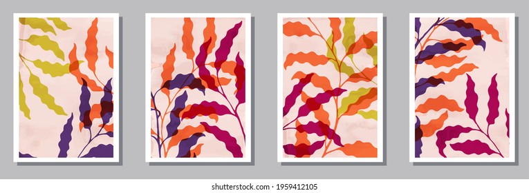 Floral interior prints collection. Spring branches with leaves. Willow tree branches elegant botanical design.. Willow plant frames. Branches vector illustration. vector design..