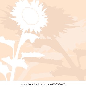 floral invitation for life events with space for text