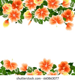 Floral invitation in tropical flowers of hibiscus. Greeting card template. Design artwork for the poster, wedding invitation, calendars. Place for text. 