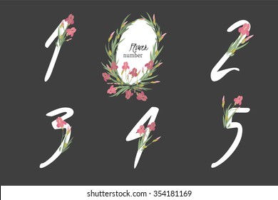 Floral  iris collection numbers in vintage color. One, two, three, four, five - signs vector