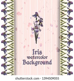 Floral  irises pattern and insert for your text.Delicate  iris ornament on backdrop.Delicate irises in watercolor 