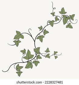 Floral ivy drawing decorative ornament flat design. Vector illustration.