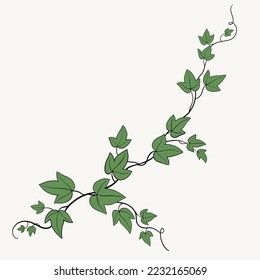 Floral ivy drawing decorative ornament flat design. Vector illustration.