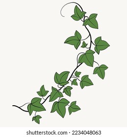 Floral ivy drawing decorative ornament flat design. Vector illustration.