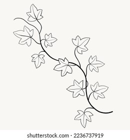 Floral ivy drawing decorative ornament flat design. Vector illustration.