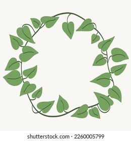 Floral ivy drawing decorative ornament flat design. Vector illustration.