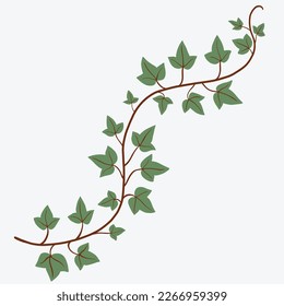 Floral ivy drawing decorative ornament flat design. Vector illustration.