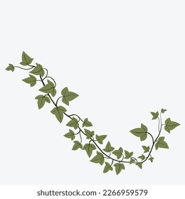 Floral ivy drawing decorative ornament flat design. Vector illustration.
