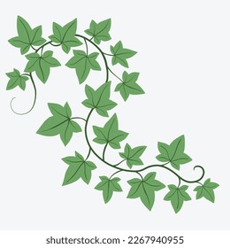 Floral ivy drawing decorative ornament flat design. Vector illustration.