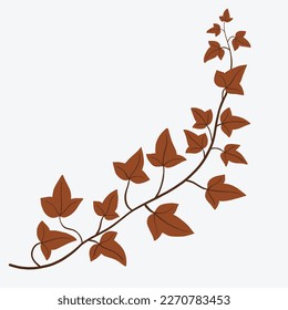 Floral ivy drawing decorative ornament flat design. Vector illustration.