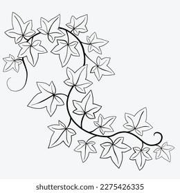 Floral ivy drawing decorative ornament flat design. Vector illustration.