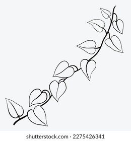 Floral ivy drawing decorative ornament flat design. Vector illustration.