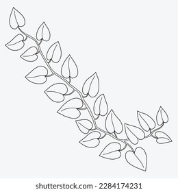 Floral ivy drawing decorative ornament flat design. Vector illustration.