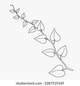 Floral ivy drawing decorative ornament flat design. Vector illustration.