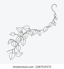 Floral ivy drawing decorative ornament flat design. Vector illustration.