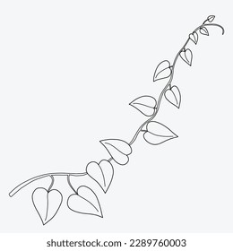 Floral ivy drawing decorative ornament flat design. Vector illustration.