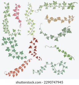 Floral ivy drawing decorative ornament flat design collection. Vector illustration.