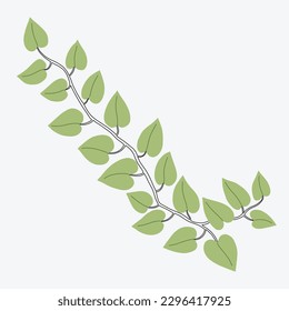Floral ivy drawing decorative ornament flat design. Vector illustration.